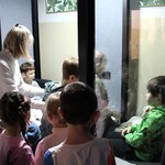 Zdjęcie nr 19. Dzieci sprawdzają jak działa kabina akustyczna_.jpg