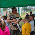 29. Uczniowie SP11 zaprzyjaźniają się z pasiastym zwierzakiem.jpg