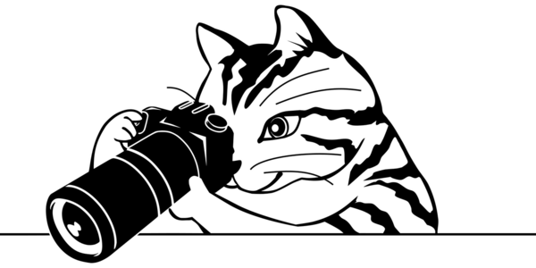photographer-g773ec349e_1280.png