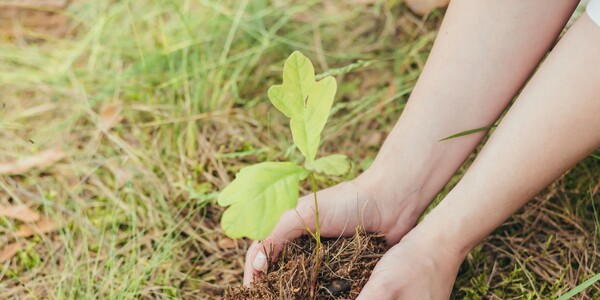 istockphoto-1354913056-2048x2048.jpg